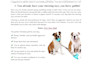 write bulk SEO blog posts with human content and publish on wordpress
